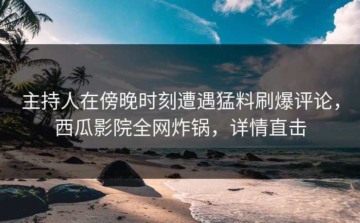 主持人在傍晚时刻遭遇猛料刷爆评论，西瓜影院全网炸锅，详情直击