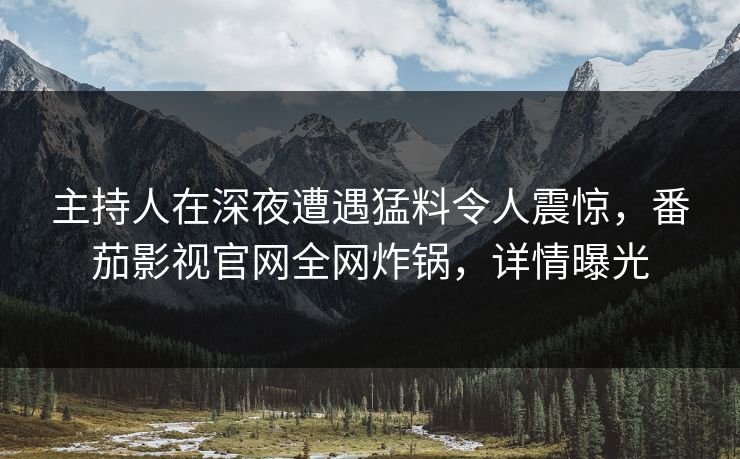 主持人在深夜遭遇猛料令人震惊，番茄影视官网全网炸锅，详情曝光