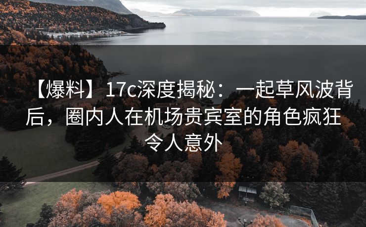 【爆料】17c深度揭秘：一起草风波背后，圈内人在机场贵宾室的角色疯狂令人意外